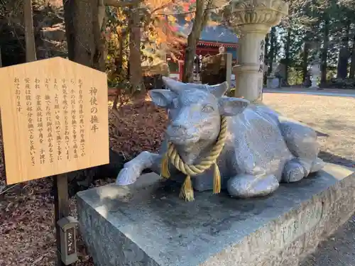 冨士御室浅間神社の狛犬