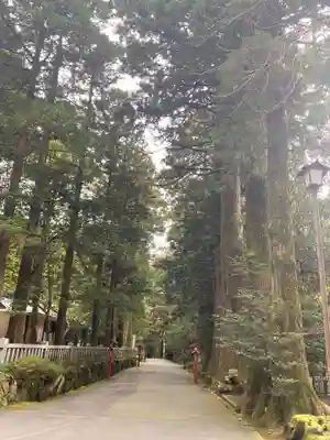 箱根神社(神奈川県)