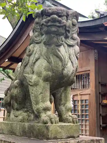 日枝大神社の狛犬