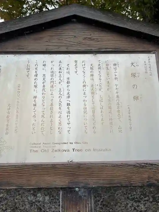 犬塚・犬塚の欅(滋賀県)