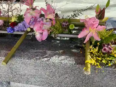 生田神社(兵庫県)