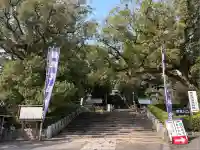 鹿児島神宮(鹿児島県)