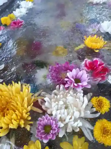 北広島市総鎮守　廣島神社の手水