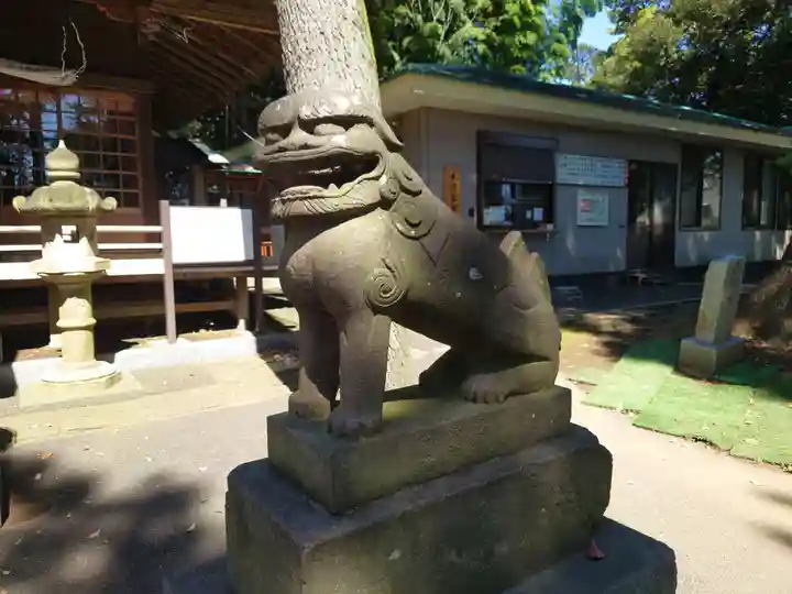 西堀氷川神社の狛犬