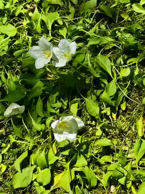 天球院(京都府)