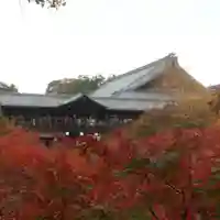 東福禅寺(東福寺)の自然