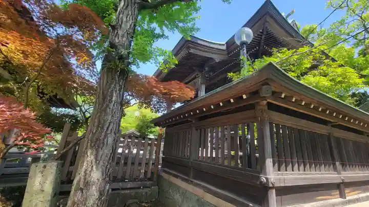 總鎮守八幡神社(愛媛県)