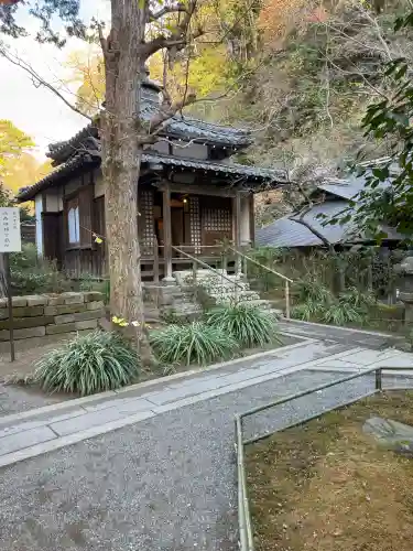 明月院の{uncategorized: "未分類", other: "その他", undefined: "問題あり", building: "その他建物", grave: "お墓", sacred_gate: "鳥居", guardian: "狛犬", statue: "像", buddha: "仏像", history: "歴史", nature: "自然", garden: "庭園", animal: "動物", pagoda: "塔", temizu: "手水舎", mountain_gate: "山門・神門", sanctuary: "本殿・本堂", subordinate: "末社・摂社", art: "芸術", scenery: "景色", jizo: "地蔵", ema: "絵馬", goshuin: "御朱印", omikuji: "おみくじ", items: "授与品その他", amulet: "お守り", goshuincho: "御朱印帳", eats: "食事", festival: "お祭り", votive_dance: "神楽", shichigosan: "七五三参", wedding: "結婚式", experience: "体験その他", initially: "初詣", around: "周辺", anti_infection: "感染症対策"}