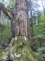 志和稲荷神社の自然