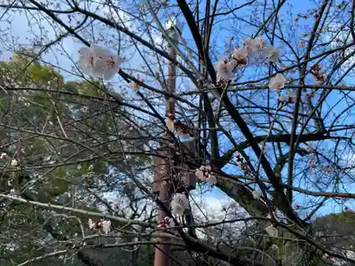 石清水八幡宮(京都府)