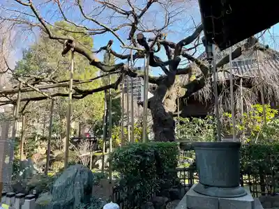 玉蔵院(埼玉県)