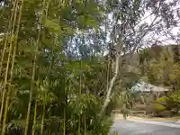 浄光明寺の自然