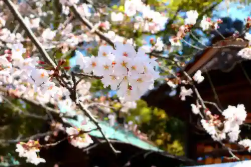 三津厳島神社の自然