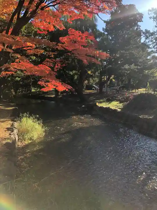 多賀神社の自然