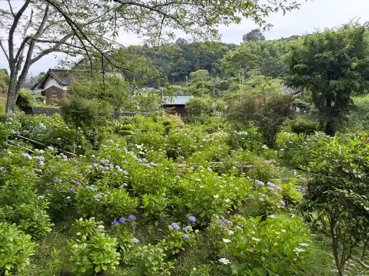 極楽寺(静岡県)
