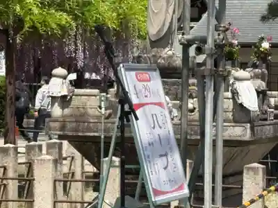 葛井寺(大阪府)