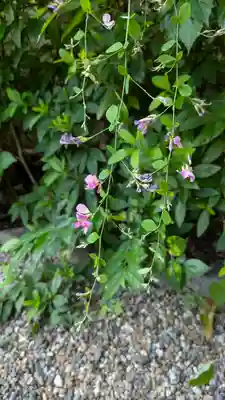 梨木神社(京都府)