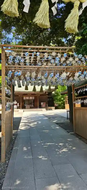 川越氷川神社(埼玉県)