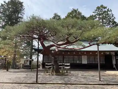 尾張冨士大宮浅間神社のその他建物