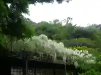 英勝寺のその他建物