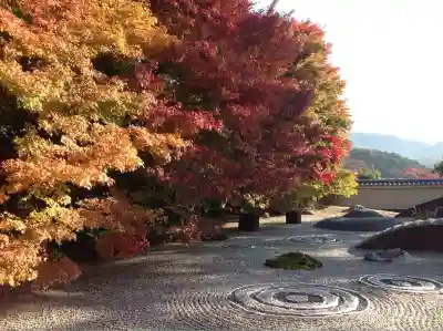 実相院門跡(京都府)