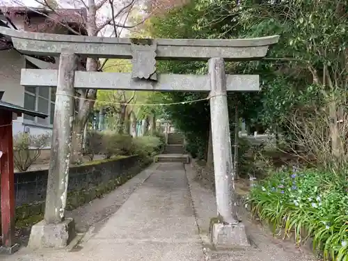 浅間神社の鳥居