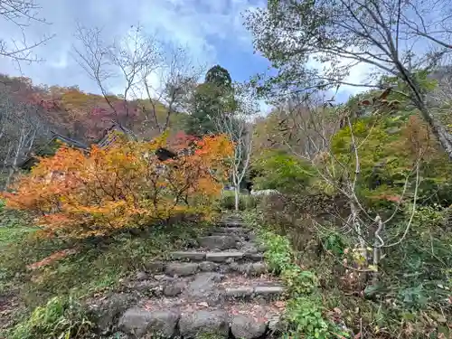 戸隠神社九頭龍社(長野県)