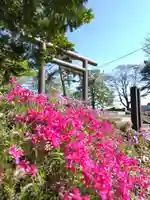 厚別神社(北海道)