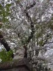 観音寺（世田谷山観音寺）(東京都)