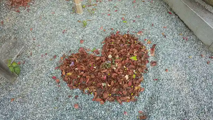 出雲大神宮の庭園