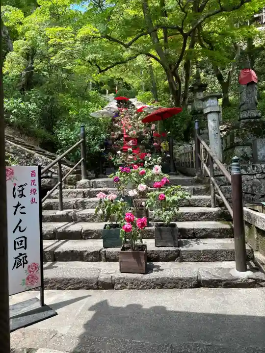 長谷寺の{uncategorized: "未分類", other: "その他", undefined: "問題あり", building: "その他建物", grave: "お墓", sacred_gate: "鳥居", guardian: "狛犬", statue: "像", buddha: "仏像", history: "歴史", nature: "自然", garden: "庭園", animal: "動物", pagoda: "塔", temizu: "手水舎", mountain_gate: "山門・神門", sanctuary: "本殿・本堂", subordinate: "末社・摂社", art: "芸術", scenery: "景色", jizo: "地蔵", ema: "絵馬", goshuin: "御朱印", omikuji: "おみくじ", items: "授与品その他", amulet: "お守り", goshuincho: "御朱印帳", eats: "食事", festival: "お祭り", votive_dance: "神楽", shichigosan: "七五三参", wedding: "結婚式", experience: "体験その他", initially: "初詣", around: "周辺", anti_infection: "感染症対策"}
