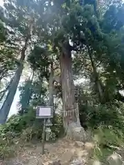 熊野那智神社(宮城県)