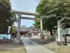 浅草神社の鳥居