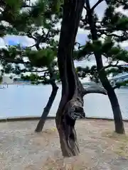 琵琶島神社(神奈川県)