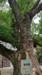 難波神社(大阪府)