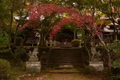 勝持寺（花の寺）(京都府)