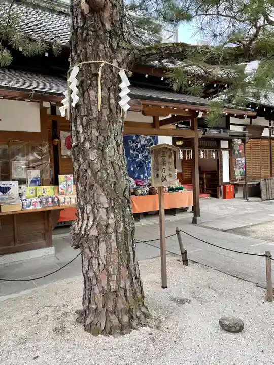 白峯神宮(京都府)