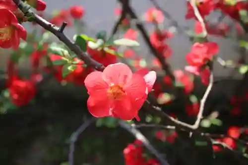 法華寺(奈良県)