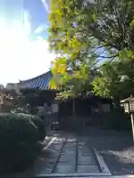大報恩寺(千本釈迦堂)の本殿・本堂