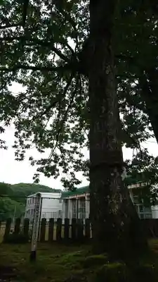 高雄神社の自然