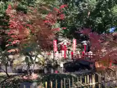 世田谷八幡宮(東京都)