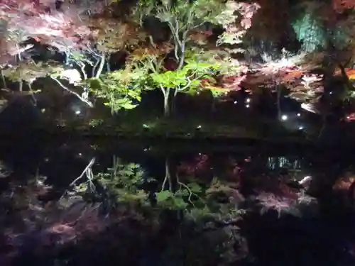 高台寺（高台寿聖禅寺・高臺寺）の景色