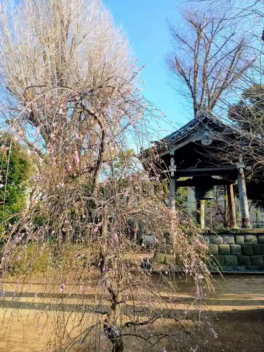 寛永寺(根本中堂)(東京都)