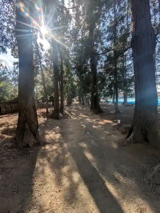 香取神社の{uncategorized: "未分類", other: "その他", undefined: "問題あり", building: "その他建物", grave: "お墓", sacred_gate: "鳥居", guardian: "狛犬", statue: "像", buddha: "仏像", history: "歴史", nature: "自然", garden: "庭園", animal: "動物", pagoda: "塔", temizu: "手水舎", mountain_gate: "山門・神門", sanctuary: "本殿・本堂", subordinate: "末社・摂社", art: "芸術", scenery: "景色", jizo: "地蔵", ema: "絵馬", goshuin: "御朱印", omikuji: "おみくじ", items: "授与品その他", amulet: "お守り", goshuincho: "御朱印帳", eats: "食事", festival: "お祭り", votive_dance: "神楽", shichigosan: "七五三参", wedding: "結婚式", experience: "体験その他", initially: "初詣", around: "周辺", anti_infection: "感染症対策"}