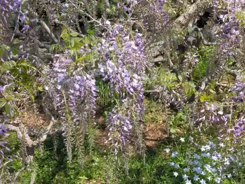 普門院(神奈川県)