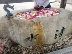 金井神社の手水