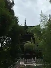 當麻寺 奥院の建物その他