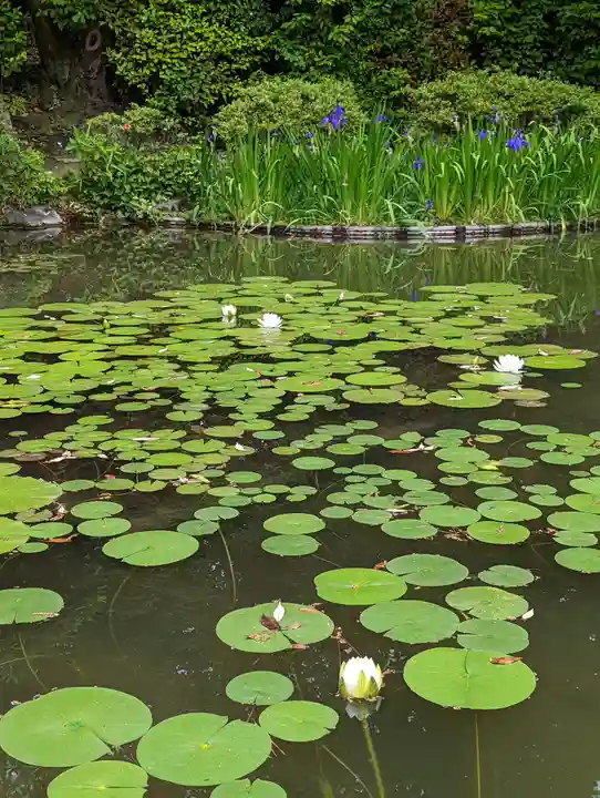 平安神宮(京都府)