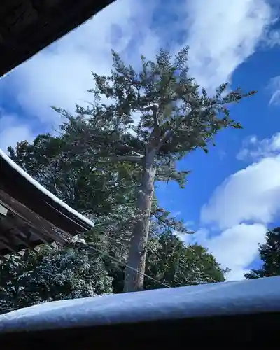 滑川神社 - 仕事と子どもの守り神(福島県)