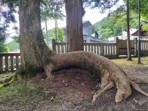 諏訪大社(長野県)